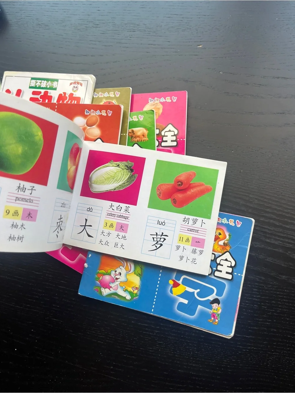 Chinese Children Early Learning Pocket Flash Card Books Set 806077421